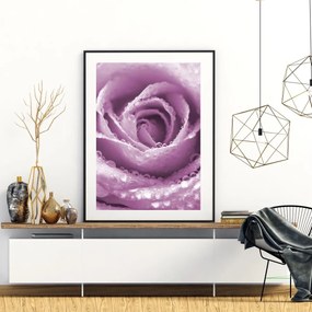 Poster - Trandafir (A4)