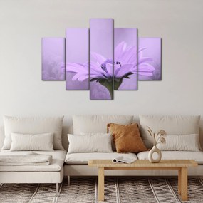 Tablou - Flori mov (150x105 cm)