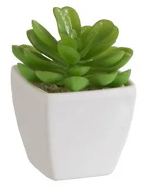 Planta, Material sintetic, Verde, 5.5x5.5x9