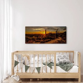 Tablou - Sfărșit de zi în deșertul Arizona (120x50 cm)