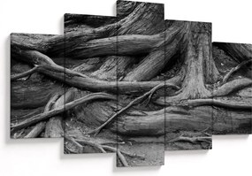 Tablou - Rădăcinile copacului (150x105 cm)
