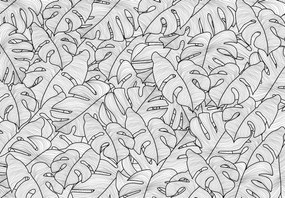 Fototapet - Frunze de monstera (147x102 cm)