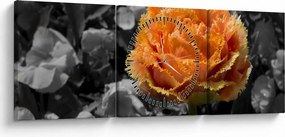 Tablou cu floare (cu ceas) (90x30 cm)