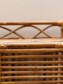 Dulap din rattan, cu 2 usi, Harmonie