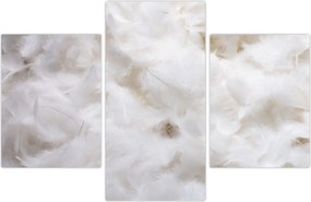 Tablou - Pene albe (90x60 cm)