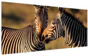 Tablou - Două zebre (120x50 cm)