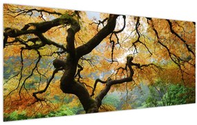 Tablou - Arțarul japonez galben, Portland, Oregon (120x50 cm)