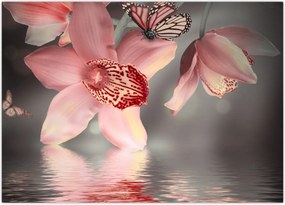 Tablou - Flori și fluture (70x50 cm)