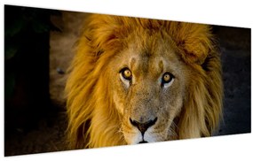 Tablou - Portret de leu (120x50 cm)