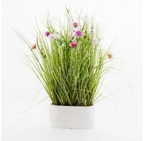 Floare decorativa grassland