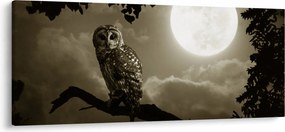 Tablou - Bufniță de noapte, auriu (120x50 cm)