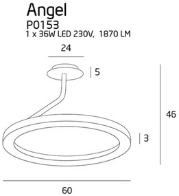 Lustra alba Angel- P0153