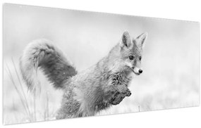 Tablou - Vulpe care sare,alb-negru (120x50 cm)