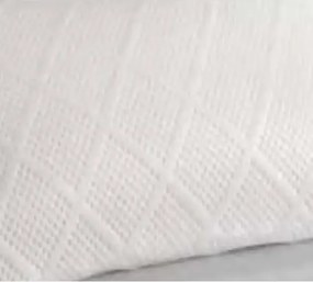 Perna visco, Homs 50 x 70 cm.00200