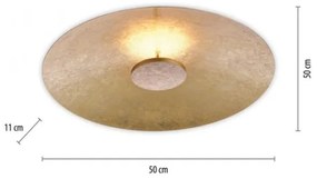 Plafonieră LED dimabilă Paul Neuhaus 8132-12 PLATE LED/25W/230V