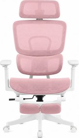 Scaun Ergonomic Premium Mesh cu Suport pentru Picioare, Reclinare 145°, Tetieră Reglabilă, Cotiere 3D, Suport Lombar Elastic și Șezut cu adâncime reglabilă, Roz