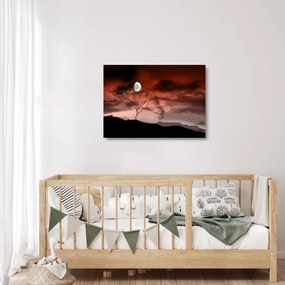 Tablou pe sticlă - Luna luminează noaptea (70x50 cm)