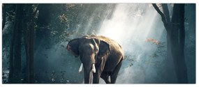 Tablou cu elefant în djunglă (120x50 cm)