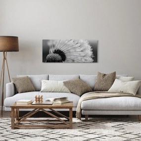 Tablou cu păpădie - albnegru (120x50 cm)