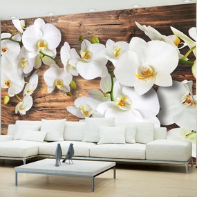 Fototapet - Forest Orchid