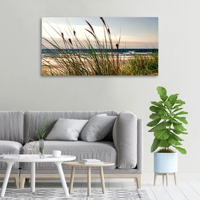 Tablou pe pânză canvas Dune de coastă