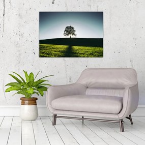 Tablou pe sticlă cu natura - copac (70x50 cm)