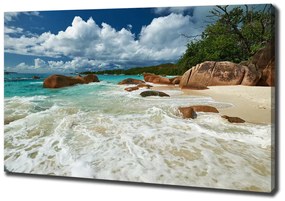 Tablou canvas Plaja seychelles