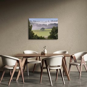 Tablou - Lunca cu copac (70x50 cm)