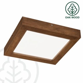 Plafonieră LED dimabilă Brilagi WOODY FRAME LED/24W/230V stejar 30x30 cm IP44 + telecomandă