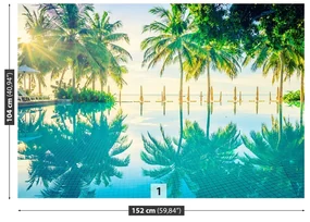 Fototapet Palms Pool