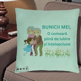 Cadou pentru Bunici - Perna Personalizata Bunicii Mei Comoara Iubire Intelepciune Nepoata, 40x40 cm, Verde Menta, Husa Detasabila, Perna Inclusa, BEKZ®