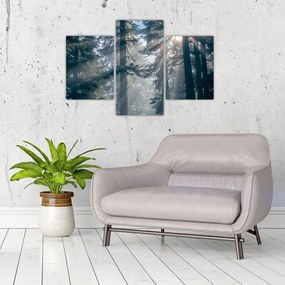 Tablou cu copaci și soarele translucind (90x60 cm)