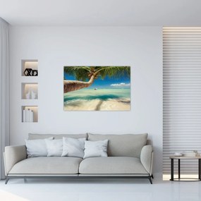 Tablou - Mare curată cu palmier (90x60 cm)