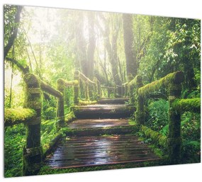 Tablou pe sticlă - trepte din lemn în pădure (70x50 cm)