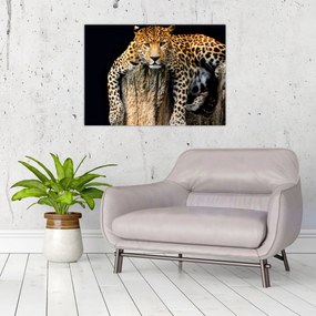 Tablou pe sticlă - Ghepard (70x50 cm)
