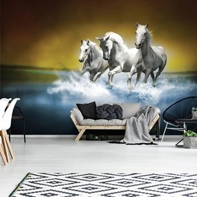 Fototapet - Calul alb în galop pe apă (152,5x104 cm)