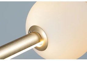 Lustră LED pe cablu dimabilă SANDRA LED/48W/230V aurie Azzardo AZ4427