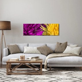Tablou - detailu cu flori (cu ceas) (90x30 cm)