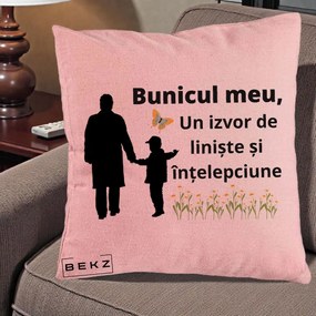 Cadou pentru Bunic - Perna Personalizata Bunicul Meu Izvor de Liniste cu Fluture si Baietel, 40x40 cm, Roz, Husa Detasabila, Perna Inclusa, BEKZ®