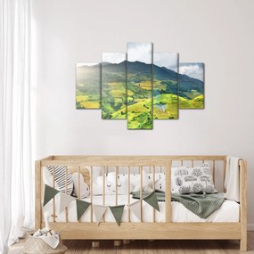 Tablou plantație (150x105 cm)
