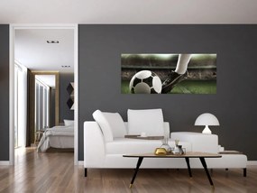 Tablou - Minge de fotbal (120x50 cm)