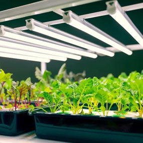 Corp de iluminat LED pentru corpuri de bucătărie pentru creșterea plantelor GROWLY LED/9W/230V alb