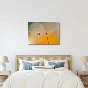 Tablou - Flori macro (70x50 cm)
