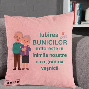 Cadou pentru Bunici - Perna Personalizata Bunicii Iubirea Infloreste Cuplu Senior Teal, 40x40 cm, Roz, Husa Detasabila, Perna Inclusa, BEKZ®