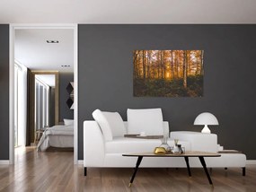 Tablou - Pădurea toamna (90x60 cm)