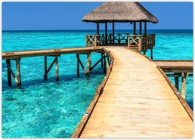 Tablou - Dig (70x50 cm)