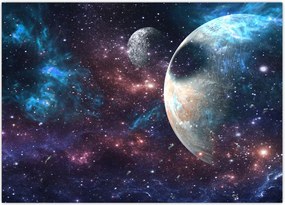 Tablou cu cosmos (70x50 cm)