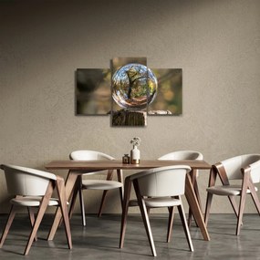 Tablou - Reflecție intr-o sferă transparentă (90x60 cm)