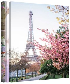 Bundle · Spring in Paris