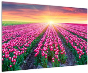 Tablou cu câmp de lalele cu soare (90x60 cm)